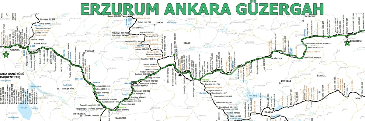 ankara erzurum tren