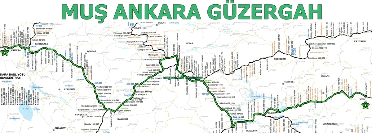 Ankara Muş Tren
